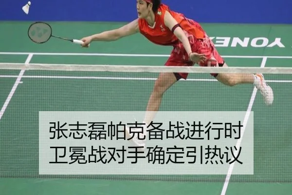 zhang-zhi-lei-pa-ke-bei-zhan-jin-xing-shi-wei-mian-zhan-dui-shou-que-ding-yin-re-yi-3-336.jpg