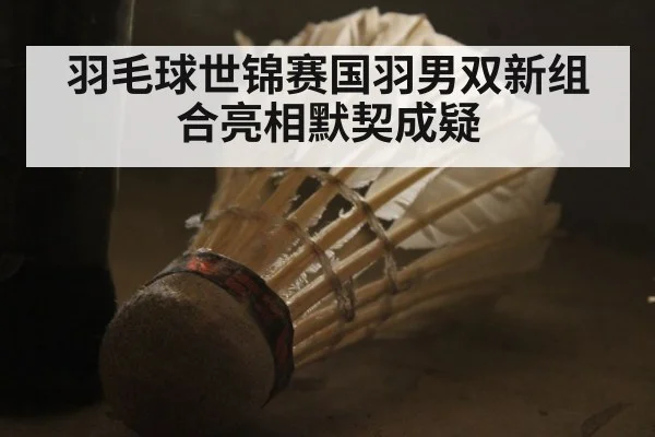 羽毛球世锦赛国羽男双新组合亮相默契成疑